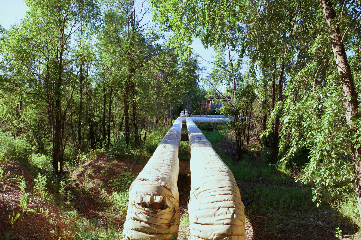 Название отсутствует - Денис Безногов