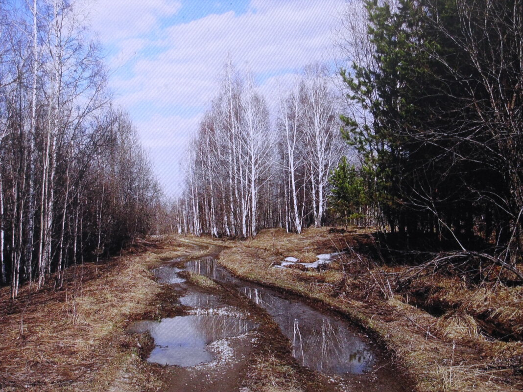Март в лесу - Людмила Смородинская Март в лесу - Людмила Смородинская