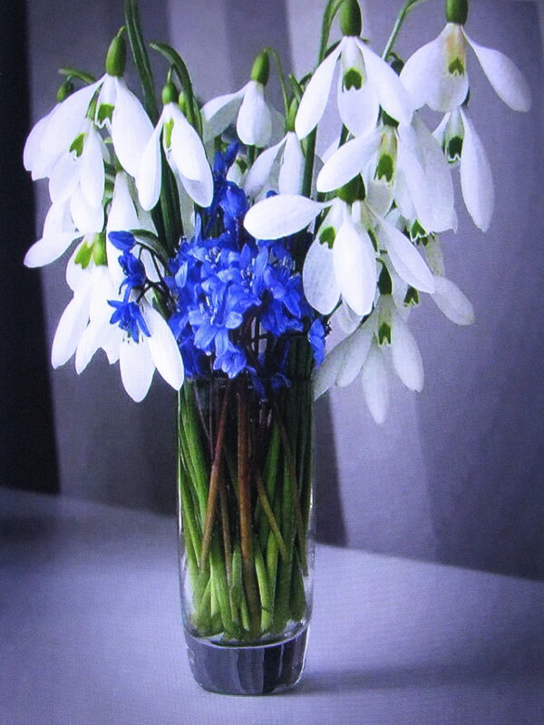 Весенний букетик - Людмила Смородинская Весенний букетик - Людмила Смородинская