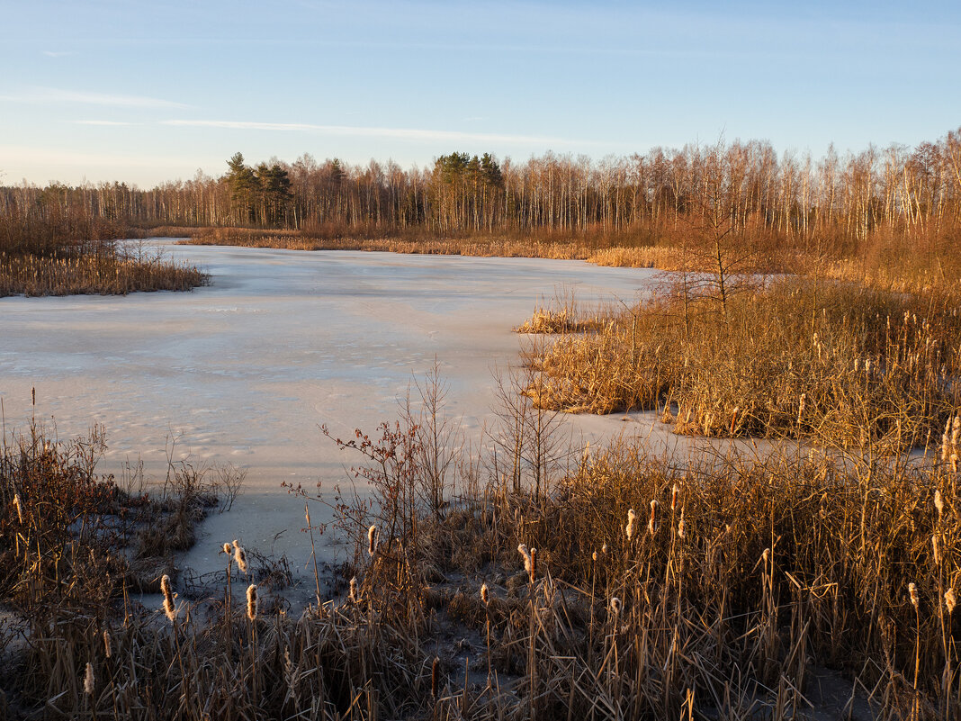 солнечное утро - Алексей Чигвинцев