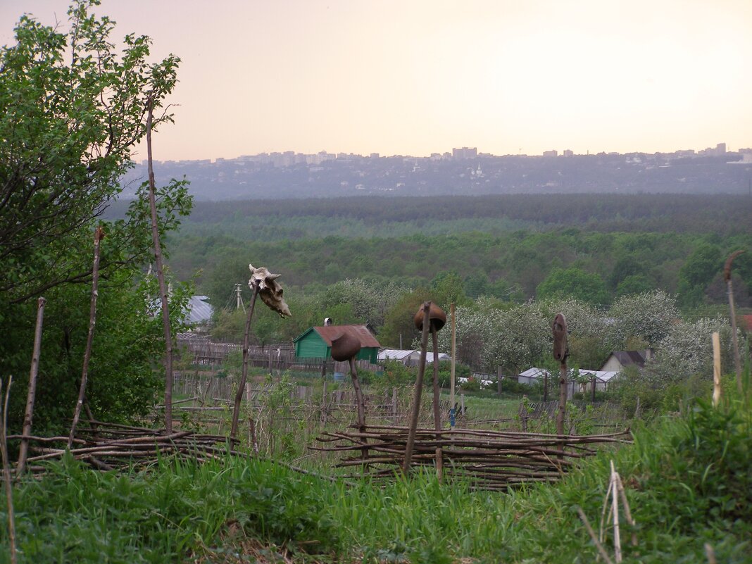 Место языческих обрядов. Рядом церковь и кладбище - Николай ntv
