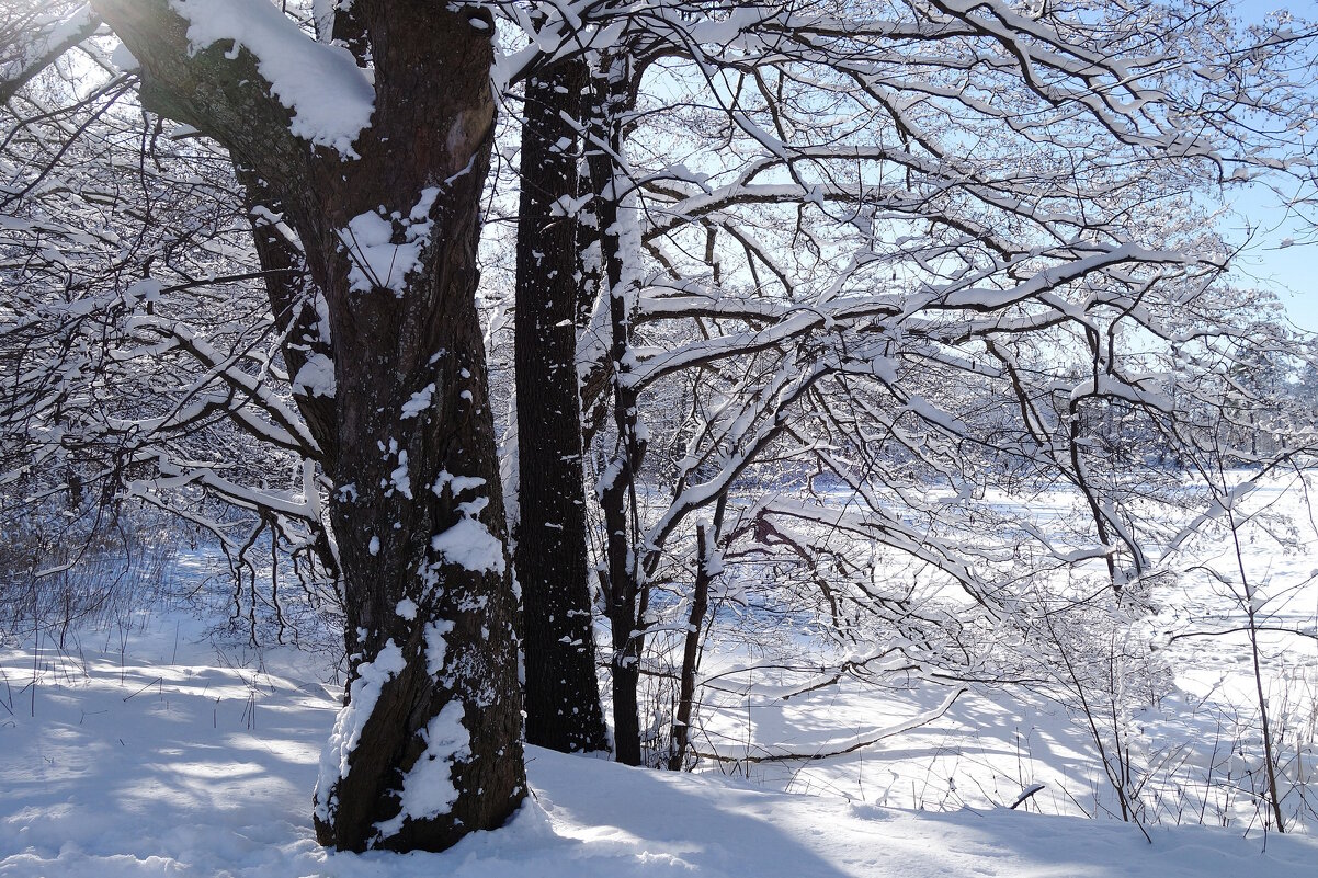 В окрестностях Калининграда - Рита Симонова В окрестностях Калининграда - Рита Симонова
