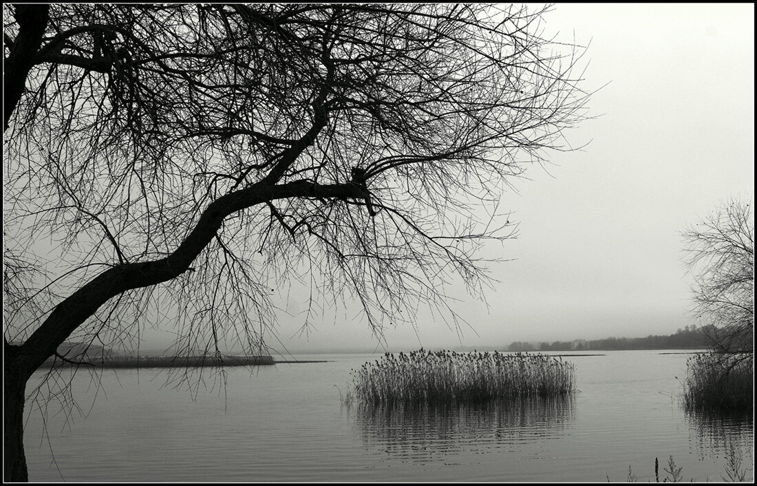 Утро туманное... - Aleksandr Gal Утро туманное... - Aleksandr Gal