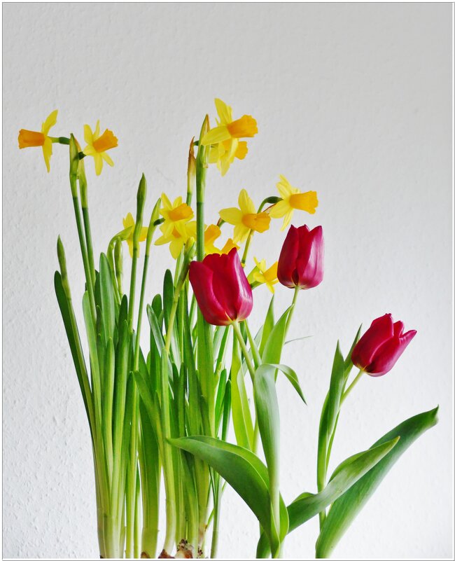 ВЕСНА... - Elvira E. 