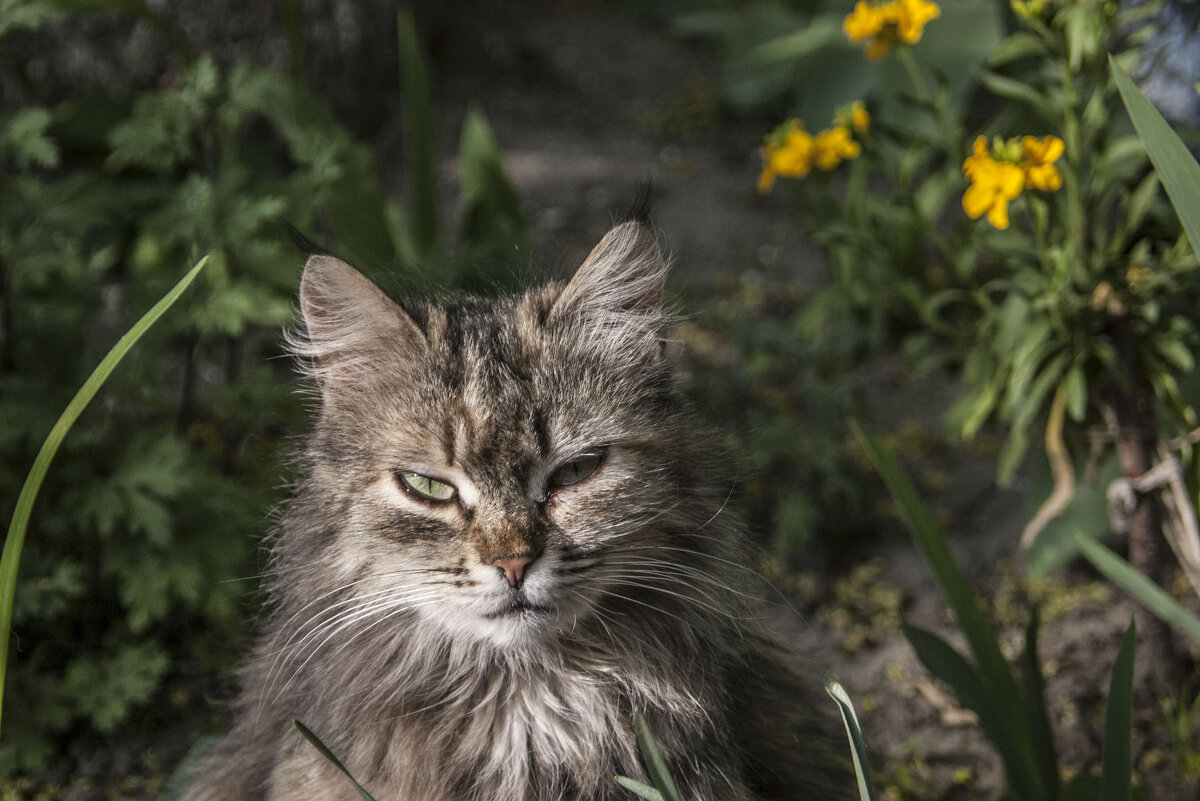Видавший - Коля Лукашов Видавший - Коля Лукашов