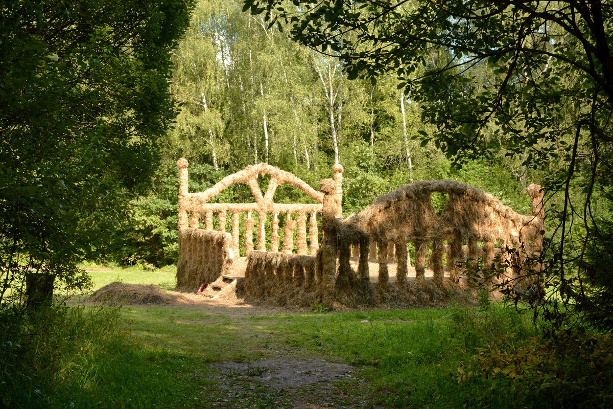 Лежанка в лесу - Леонид Иванчук