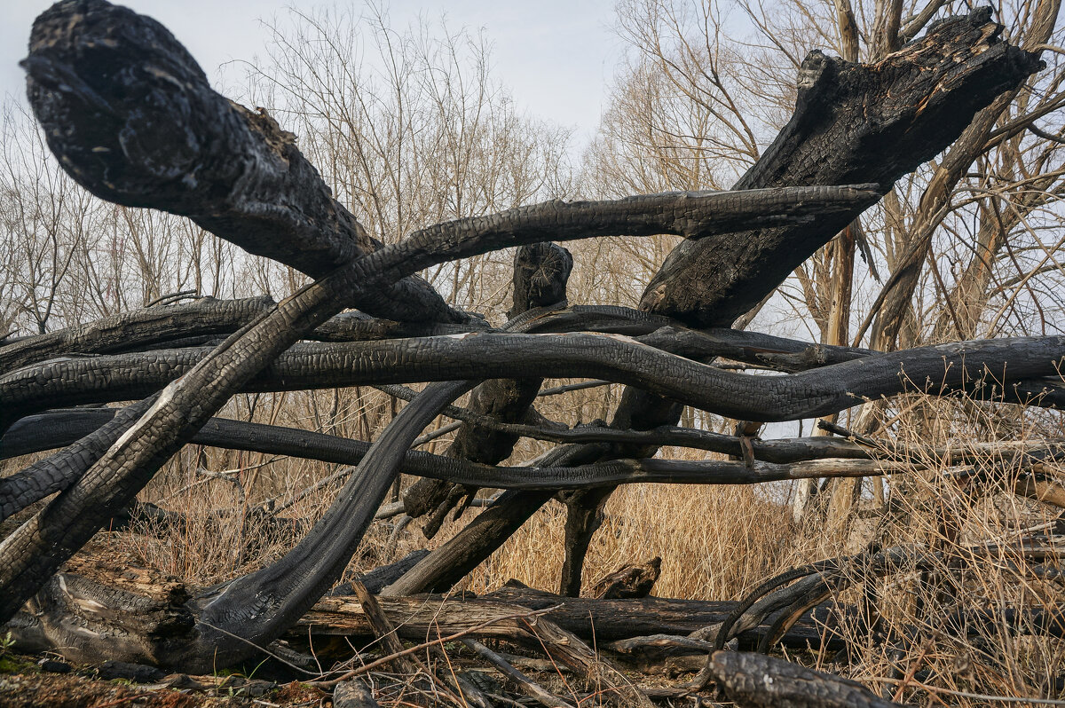 Угольные узоры - sorovey Sol