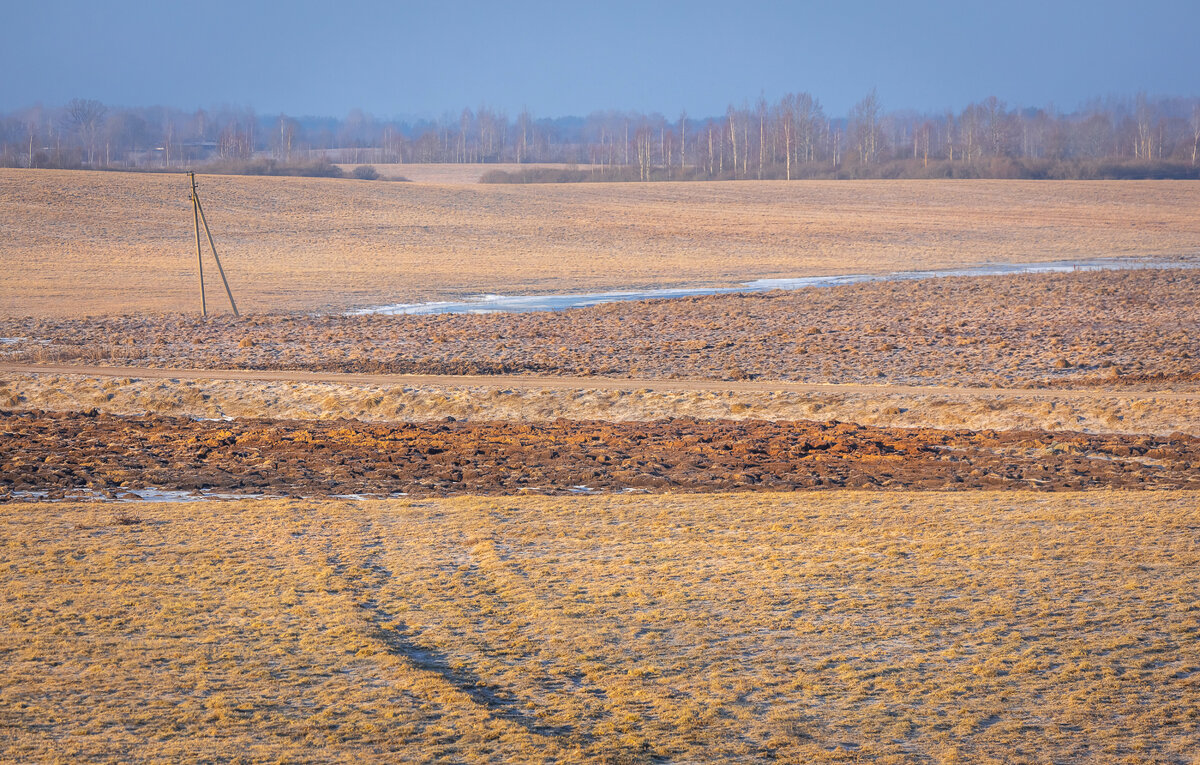 **** - Елизавета .