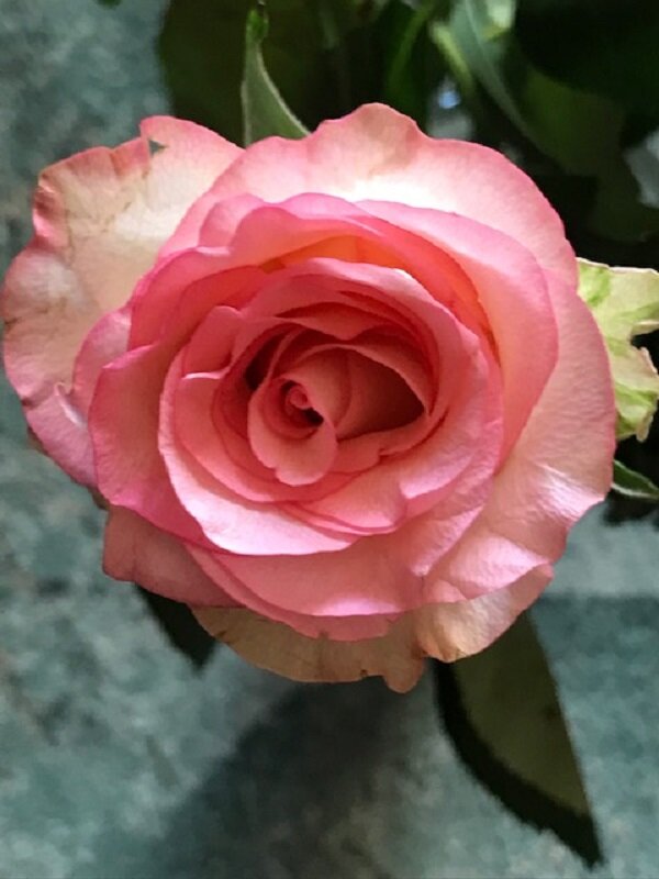 Неповторима... - Татьяна Юрасова