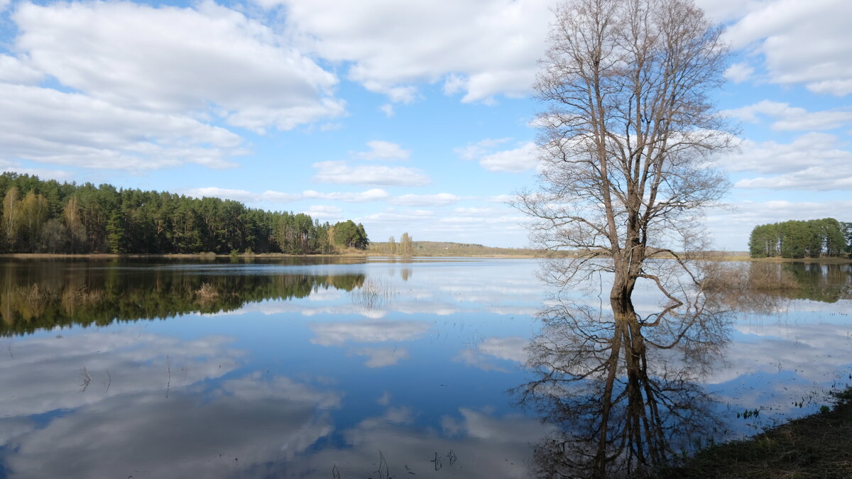 Весна, разлив, озеро Маленец - Олег Зоркий Весна, разлив, озеро Маленец - Олег Зоркий