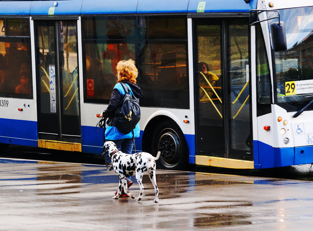 ОЖИДАНИЕ - Виктор Никитенко
