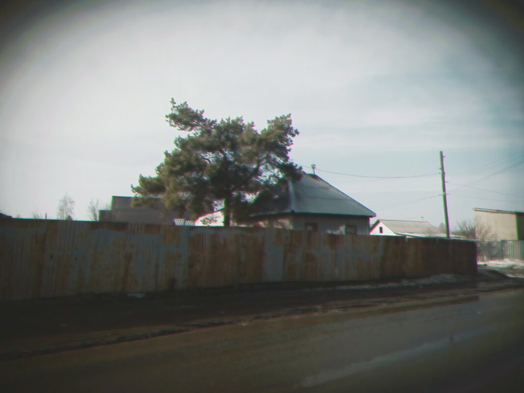 Природа у дома. - Игорь Солдаткин