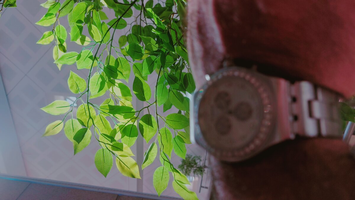 12  КЛОС (731) - CLOSE WAYS ALL