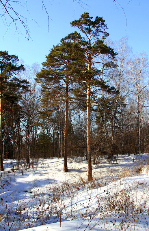 За городом ... - Vlad Сергиевич За городом ... - Vlad Сергиевич