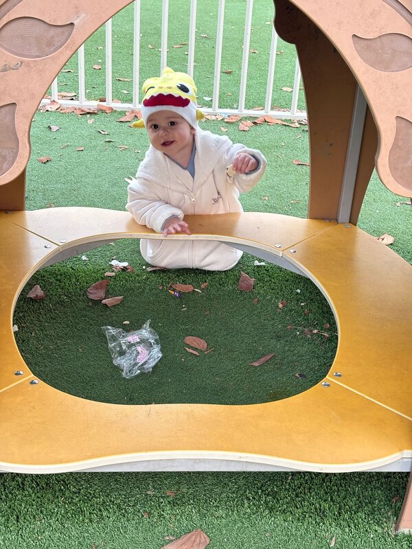 Пурим ! Том - цыпленок! - Светлана Хращевская Пурим ! Том - цыпленок! - Светлана Хращевская