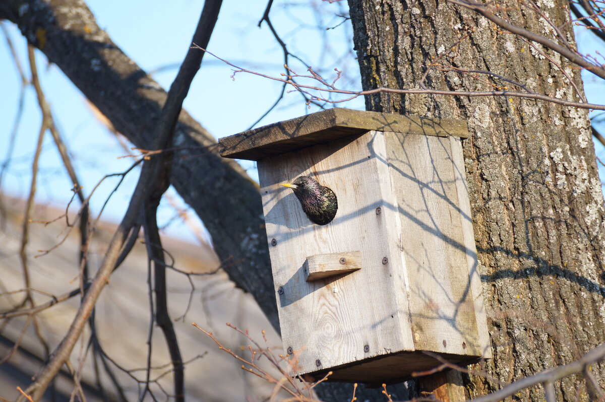 Заселился - Сергей Ц Заселился - Сергей Ц