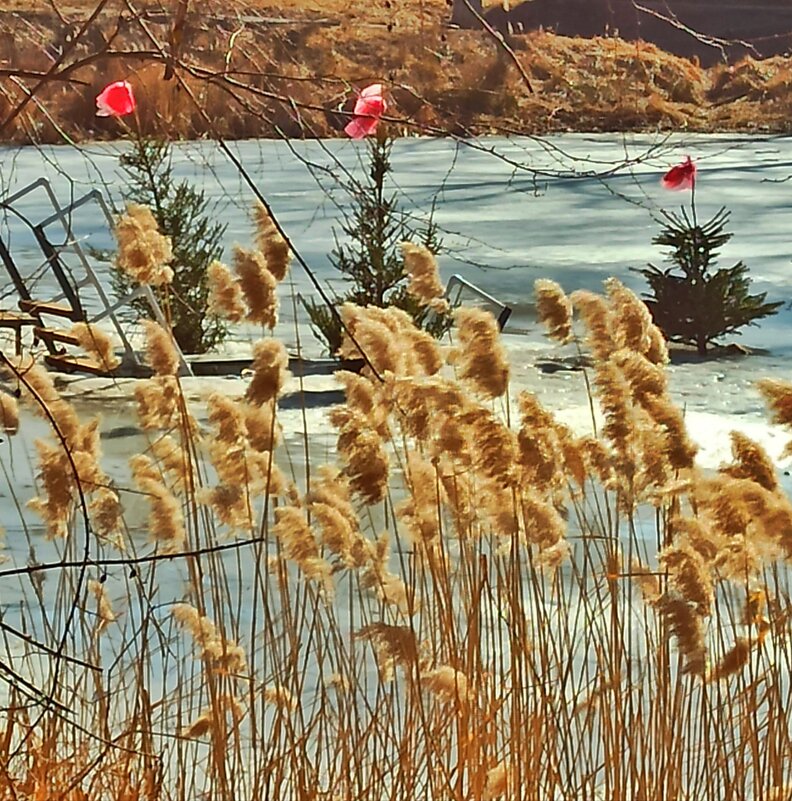 Здесь была Крещенская прорубь... - veilins veilins