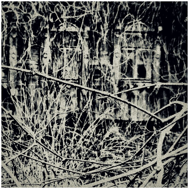 старый дом увитый виноградом - Любовь старый дом увитый виноградом - Любовь