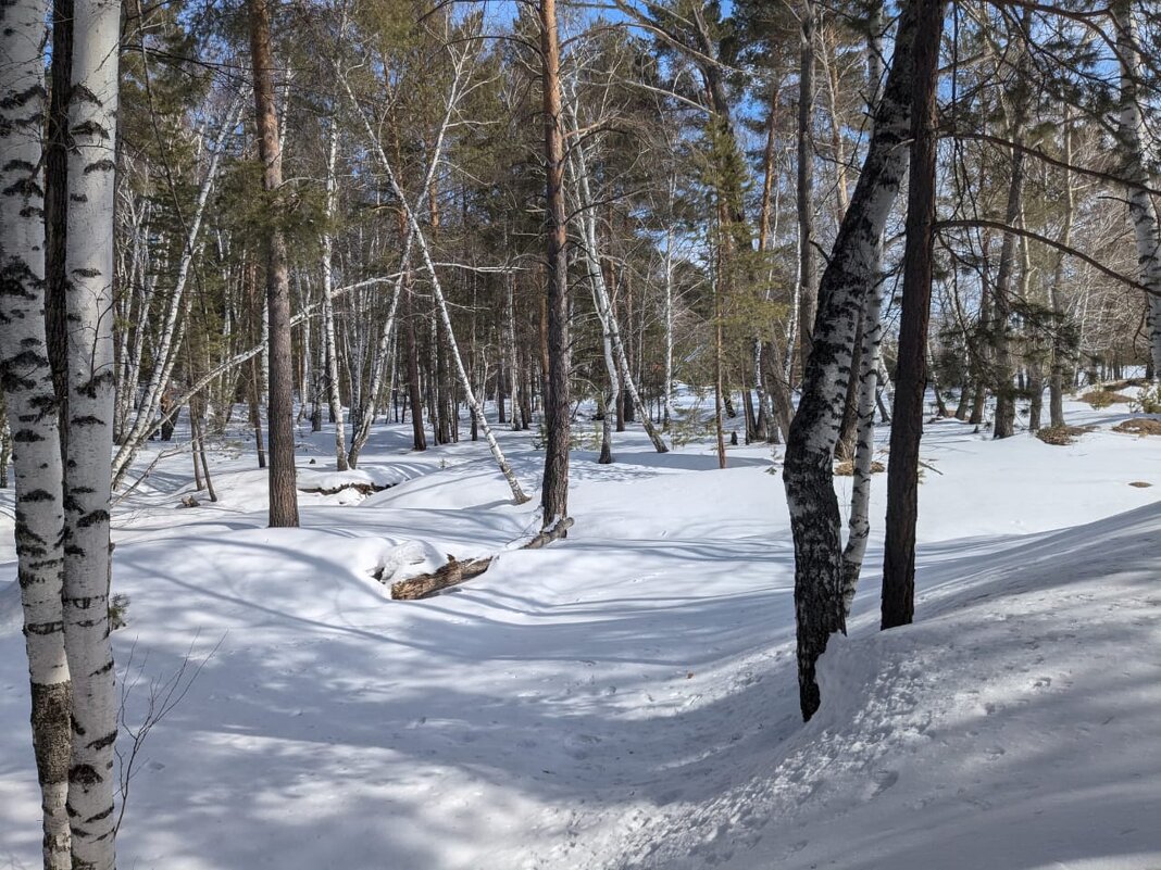 В снегах - Георгиевич В снегах - Георгиевич