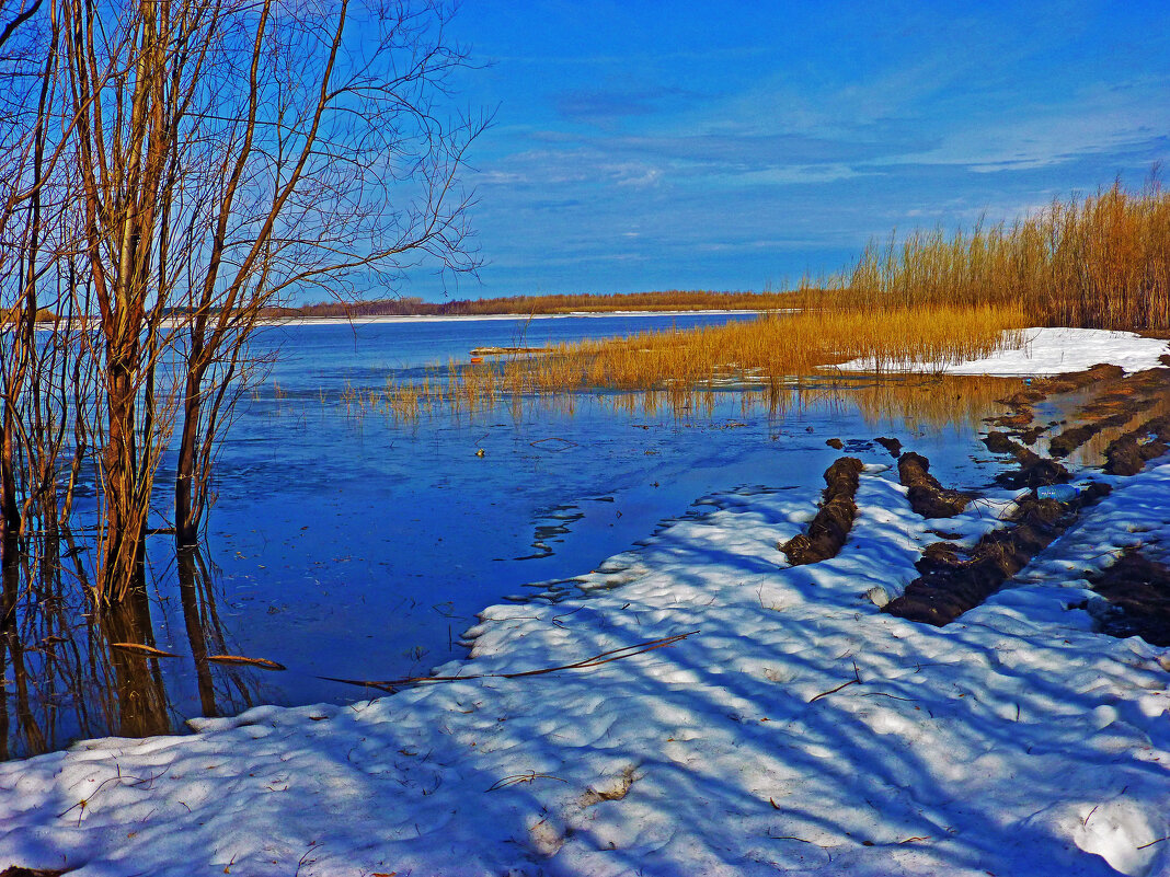 Апрель...Уголок Юганской Оби. - Владимир Апрель...Уголок Юганской Оби. - Владимир