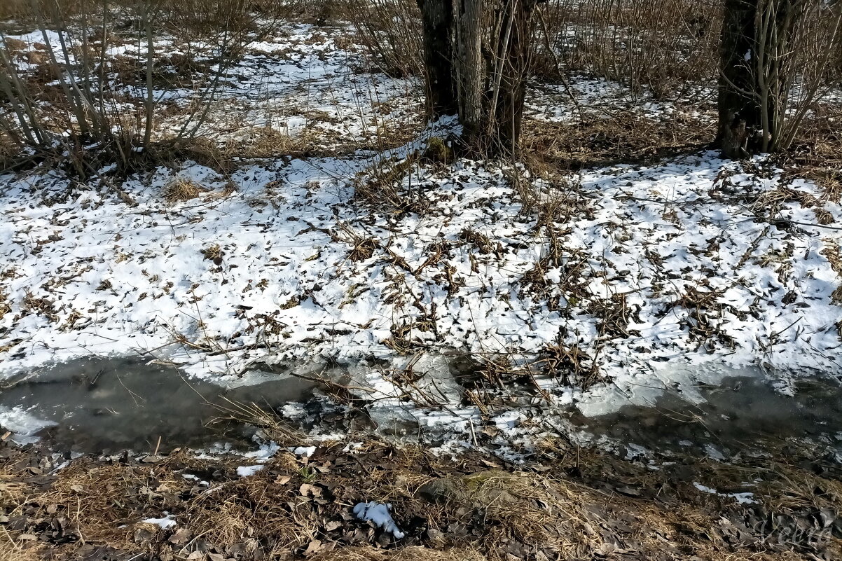 Осколки зимы ) - Veera V Осколки зимы ) - Veera V