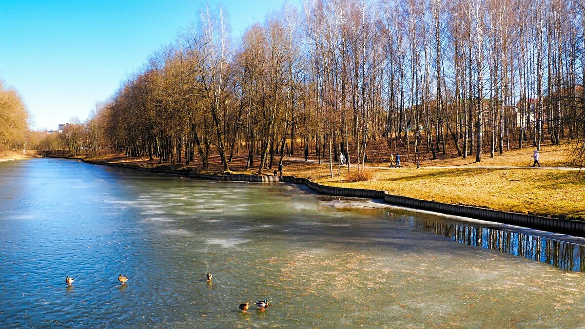Весенний парк - Милешкин Владимир Алексеевич 