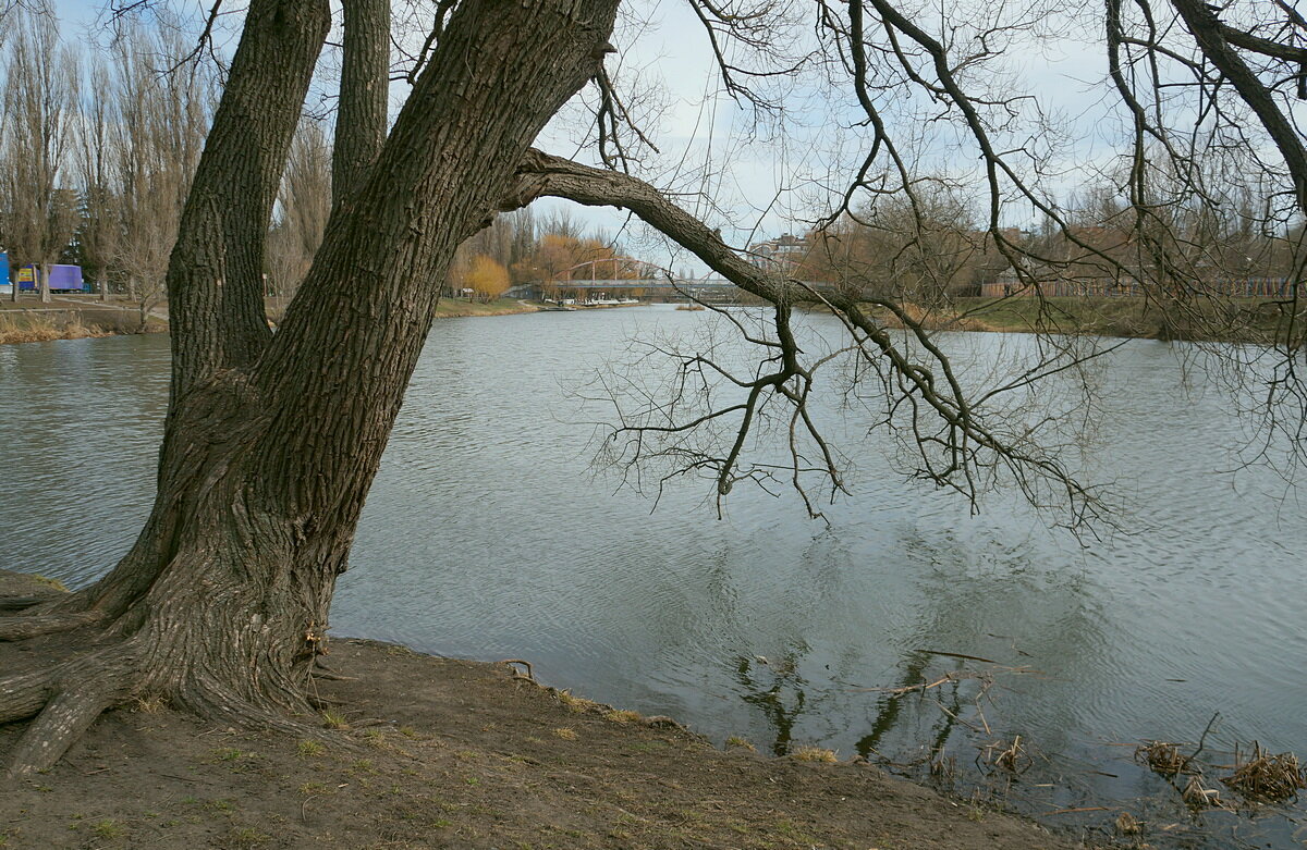 Мартовский берег - Сеня Белгородский