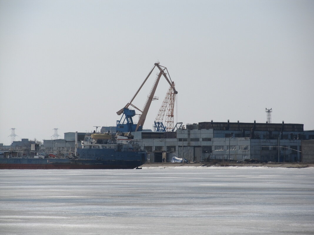 первая декада марта - Елена Шаламова