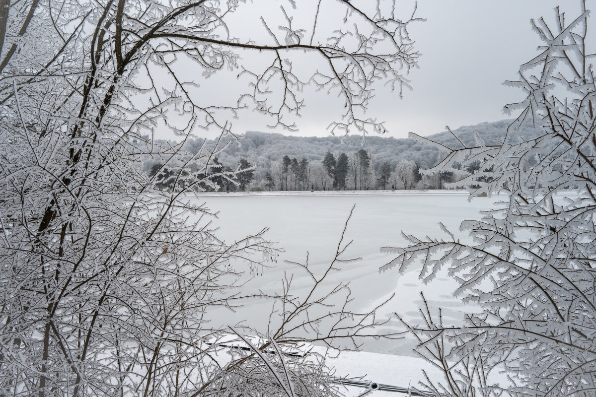 Это были последние морозы, надеюсь) - Referee (Дмитрий)