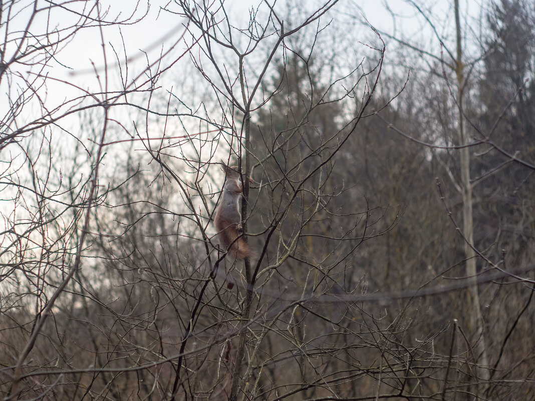 ___ - Yuriy V ___ - Yuriy V