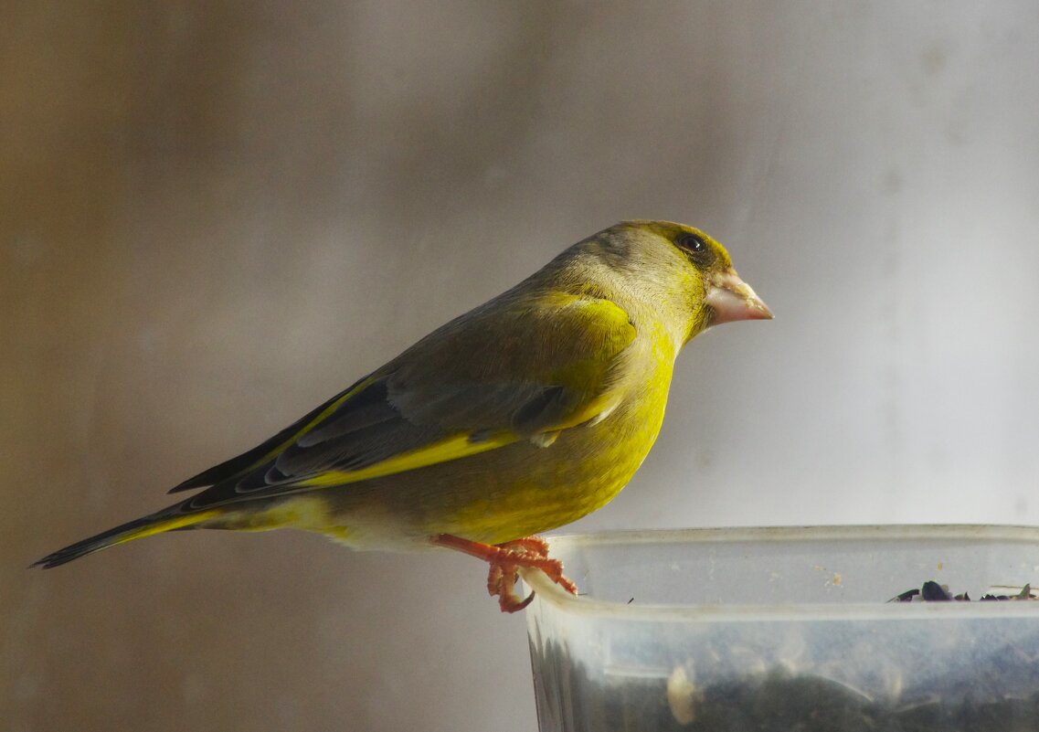 "Классика"... из бронзы ! - Юрий Куликов "Классика"... из бронзы ! - Юрий Куликов
