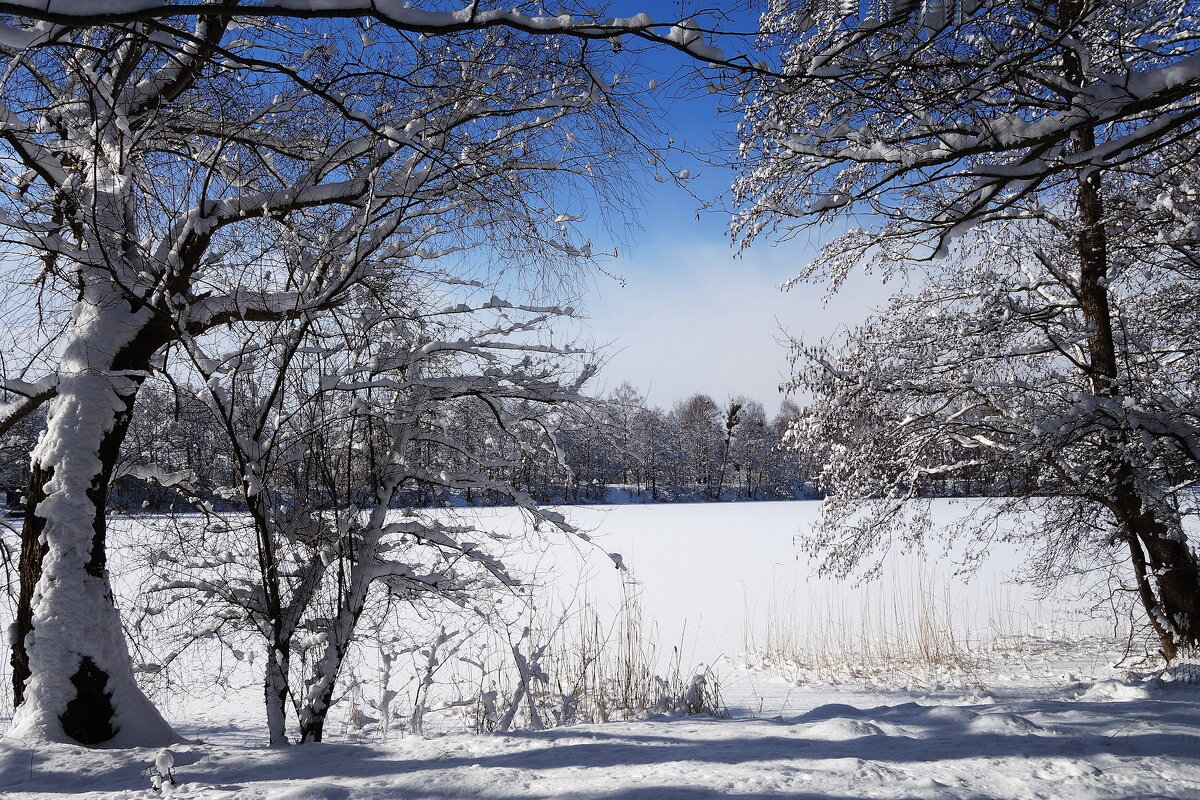 Окрестности Калининграда - Рита Симонова
