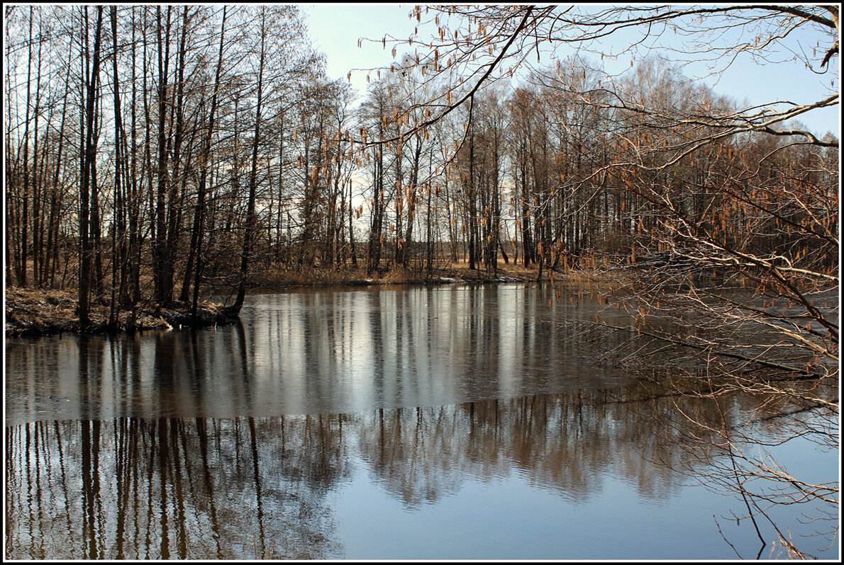 *** - Aleksandr Gal *** - Aleksandr Gal