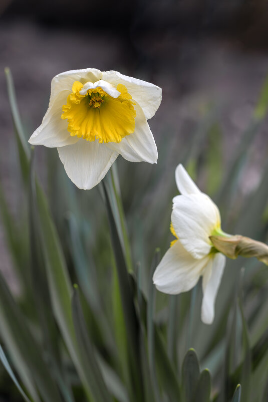 Поговорим? - Валерий Басыров