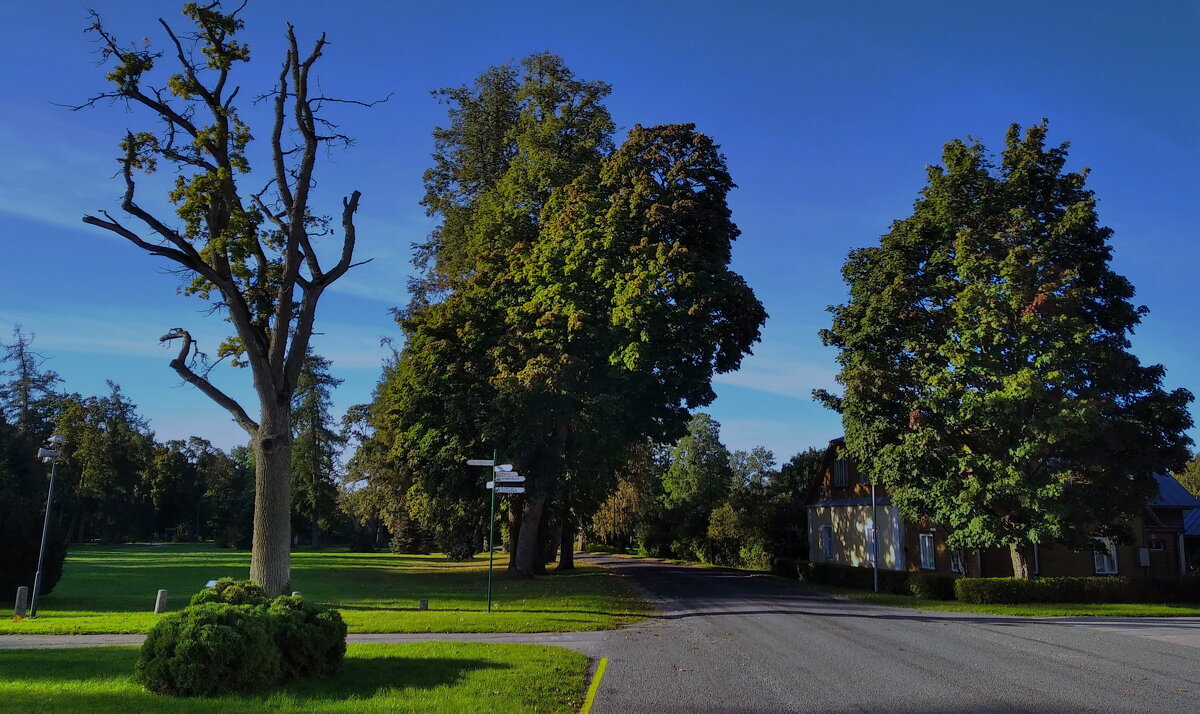 Теплый сентябрь.. - Татьян@ Ивановна