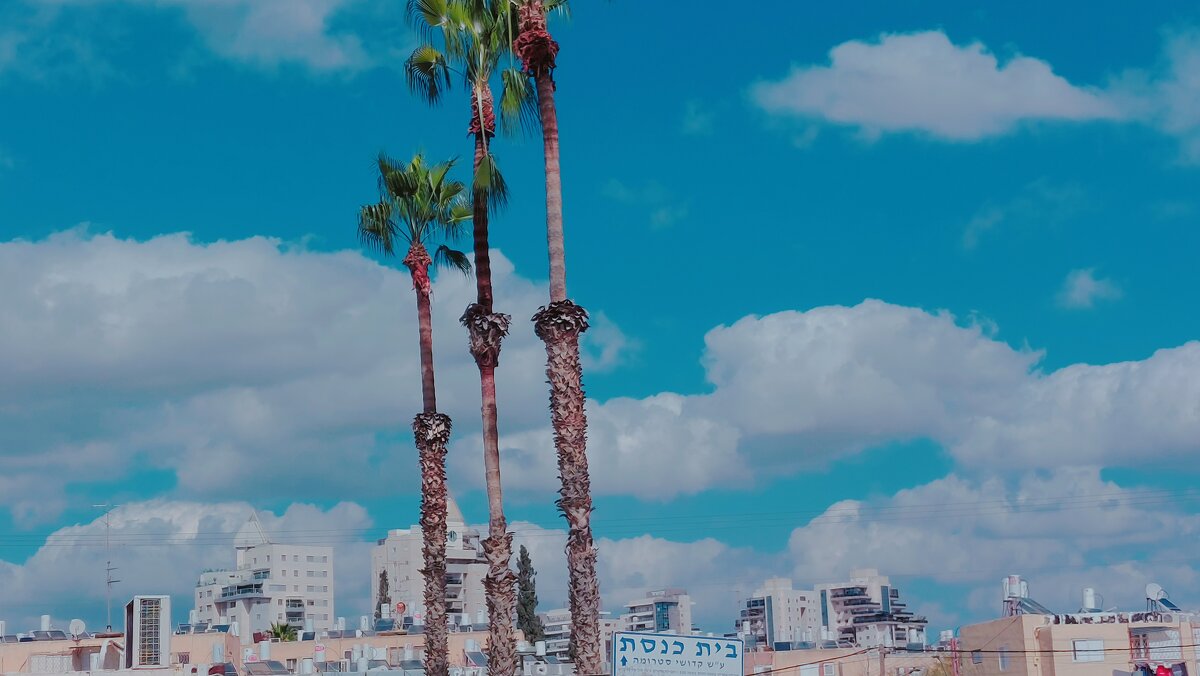 12  КЛОС (738) - CLOSE WAYS ALL