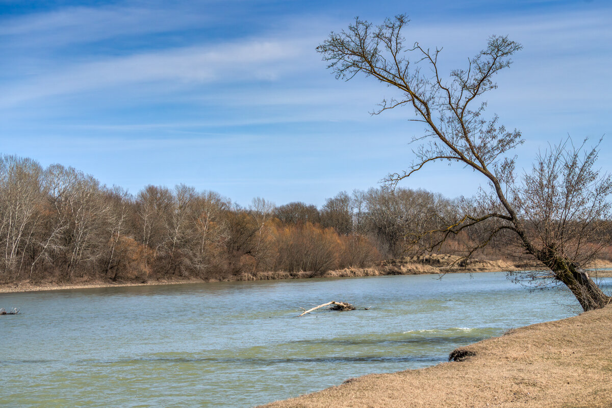 Весенние прогулки - Игорь Сикорский Весенние прогулки - Игорь Сикорский