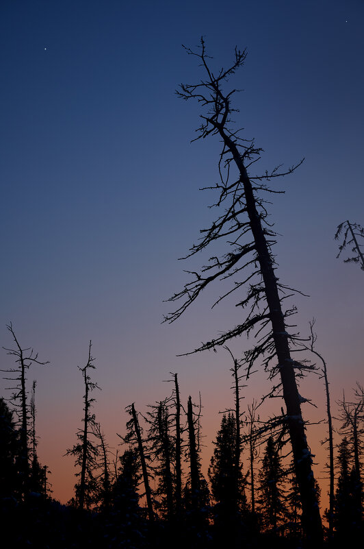 * - Александр Иванов