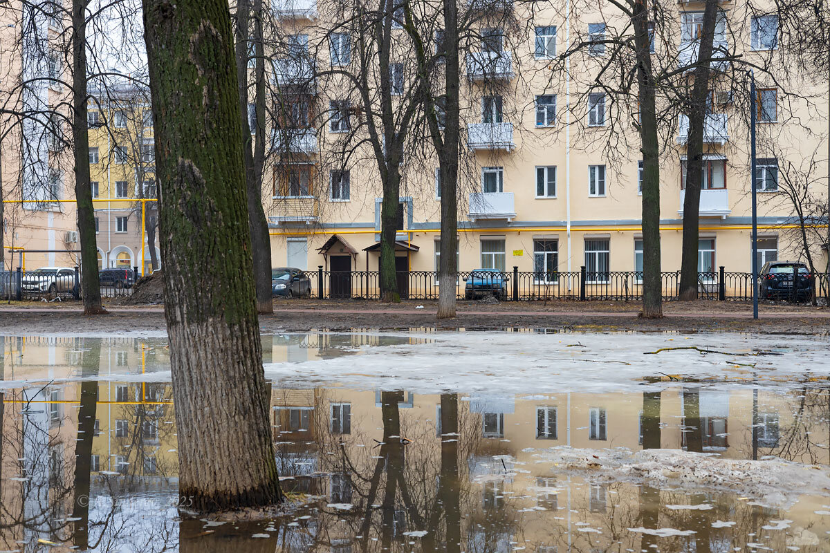 Дом и его отражение в талой воде - Александр Синдерёв