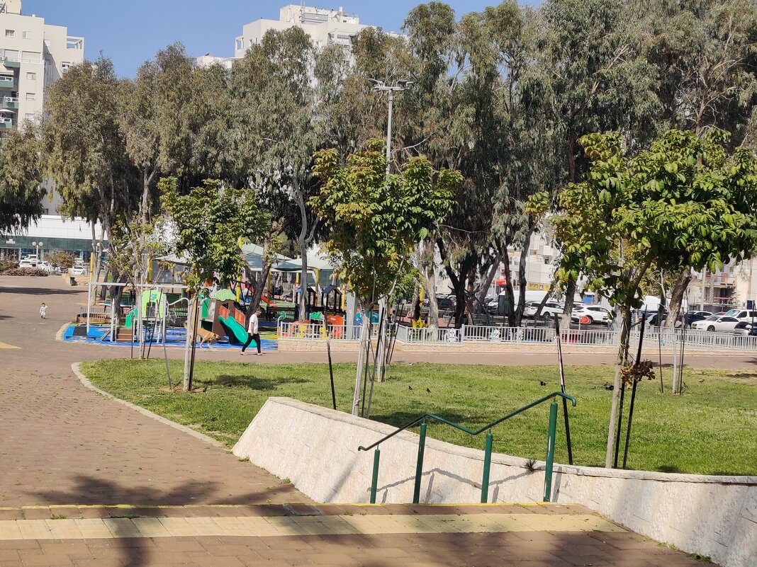 Детская площадка в нашем парке - Светлана Хращевская Детская площадка в нашем парке - Светлана Хращевская