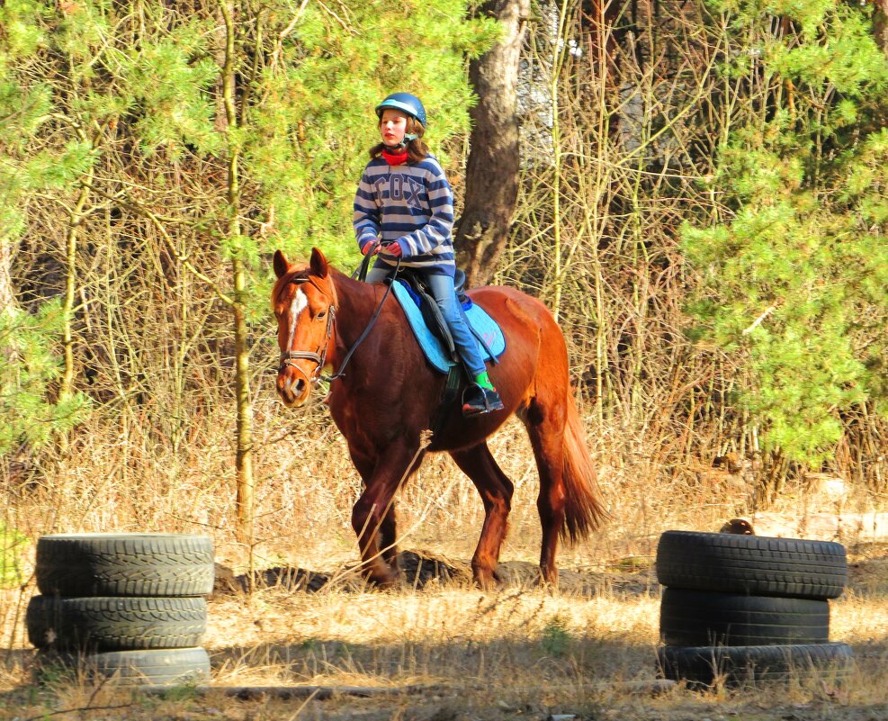 Юная наездница - Андрей Снегерёв