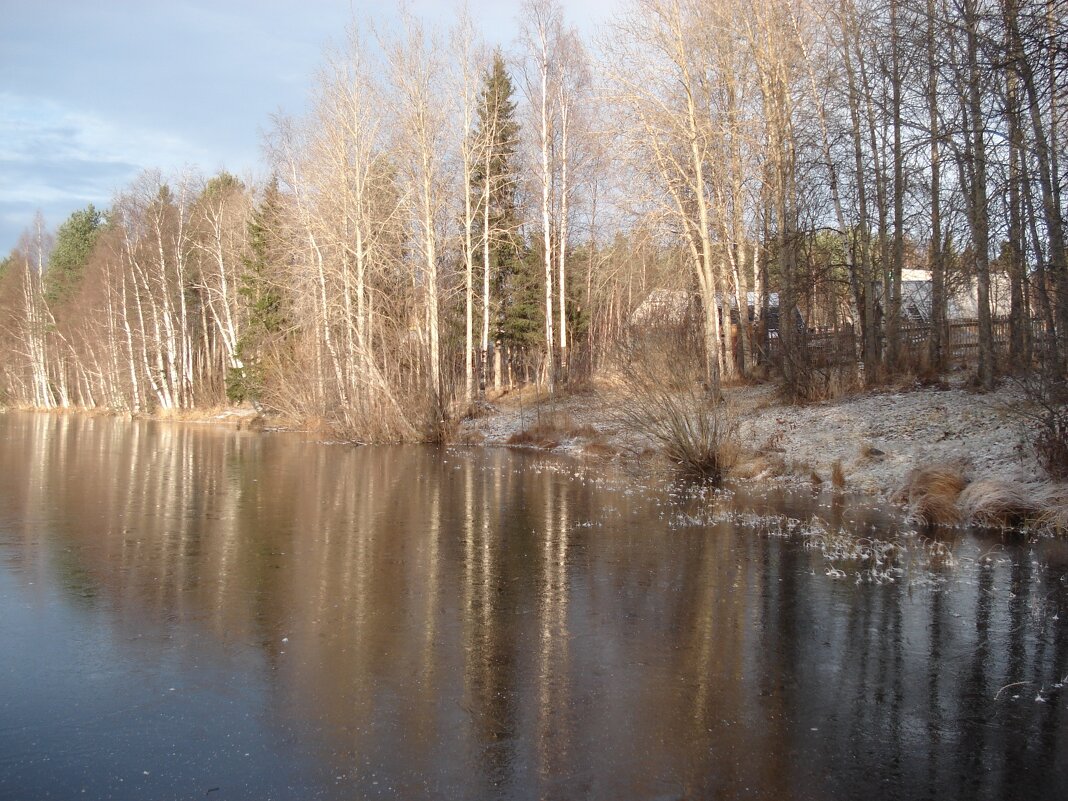 первый мороз - Елена Кордумова