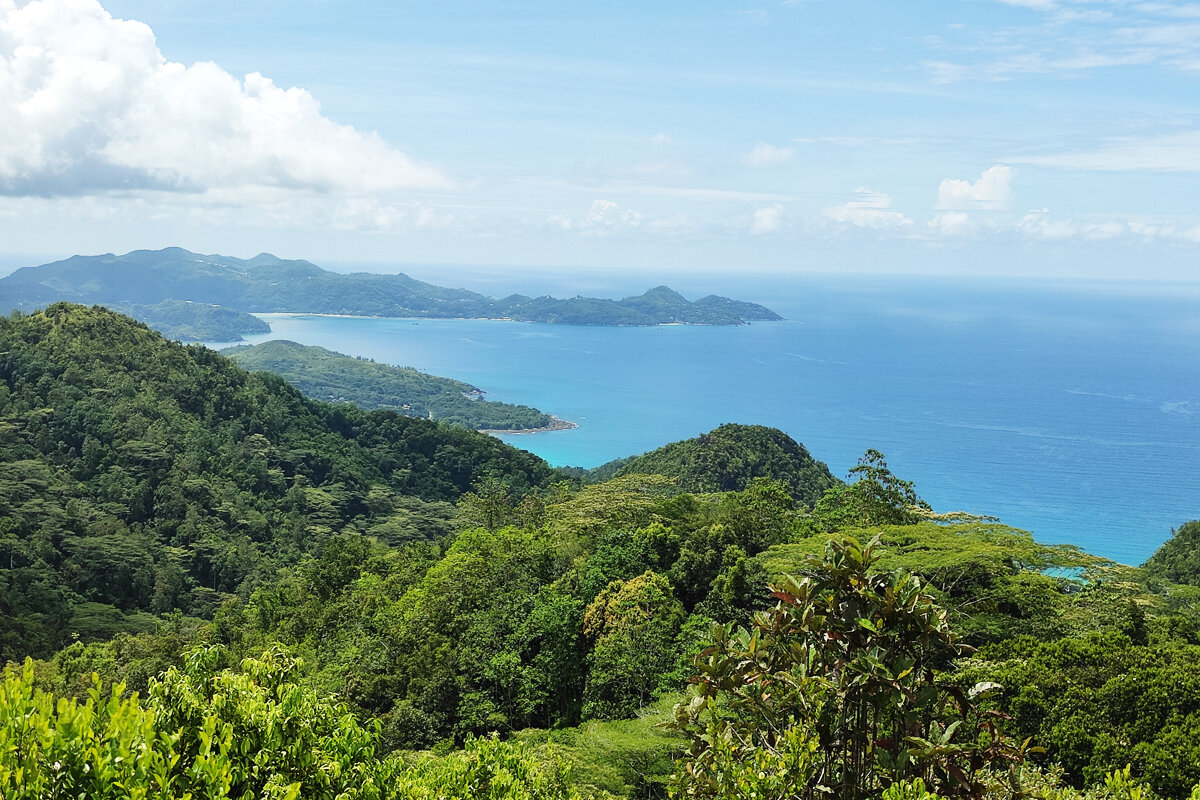 Сейшелы - Ирина Ватолина