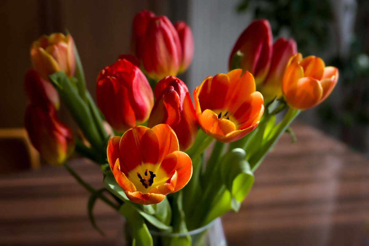 9 марта - Олег Дорошенко 9 марта - Олег Дорошенко