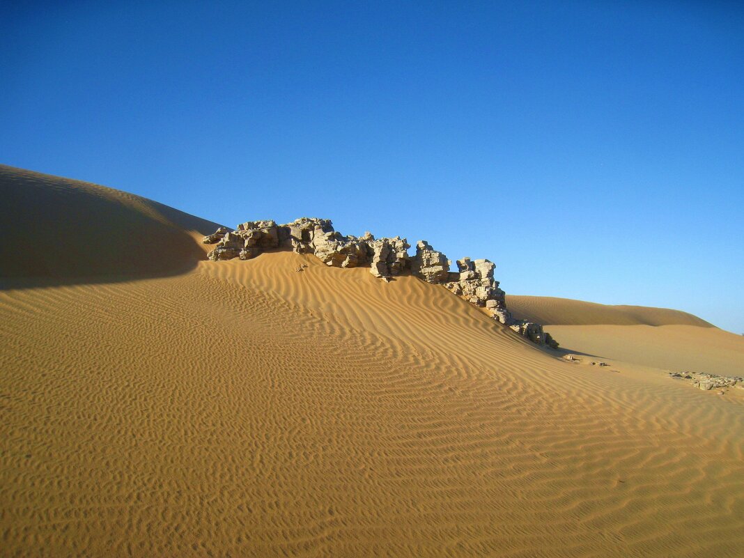 В пустыне Рамлат-эль-Вахиба. - unix (Илья Утропов)