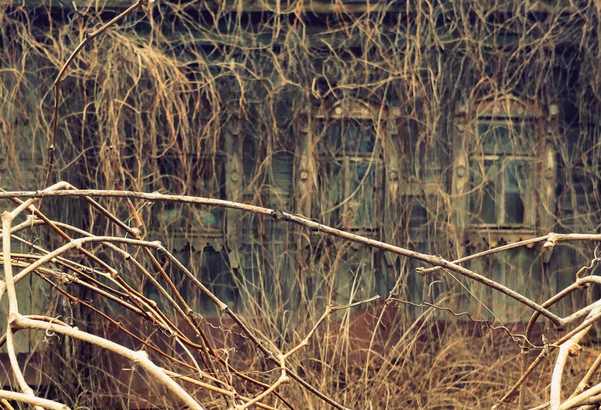 .Или время окна занавесило. - Любовь 