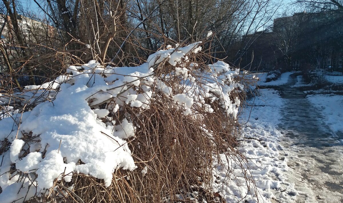 Снег вчерашнего дня - Galina Solovova Снег вчерашнего дня - Galina Solovova