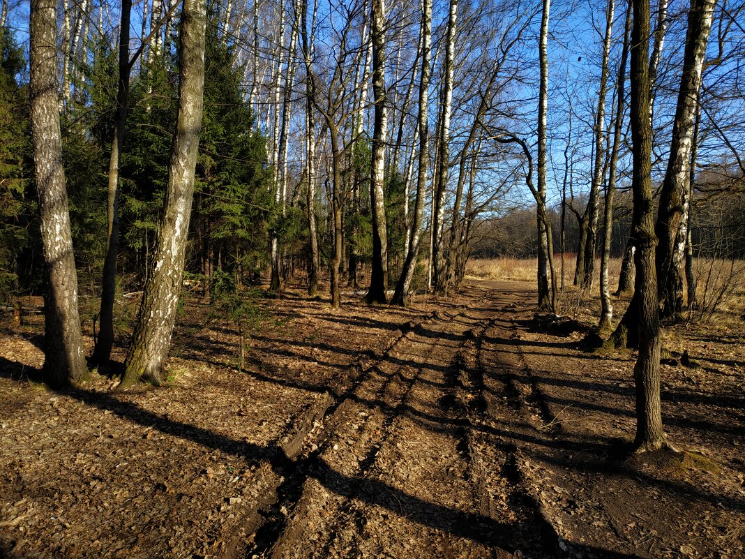 Март-2025 в Лосином острове - Андрей Лукьянов Март-2025 в Лосином острове - Андрей Лукьянов