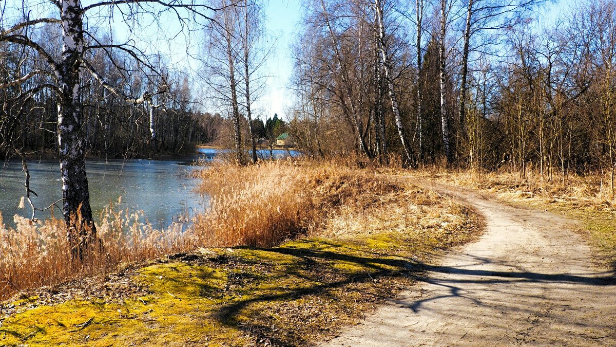 Смоленская весна - Милешкин Владимир Алексеевич Смоленская весна - Милешкин Владимир Алексеевич