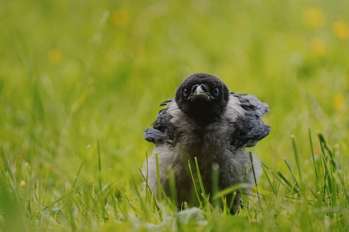 Поговорим? - Ольга 